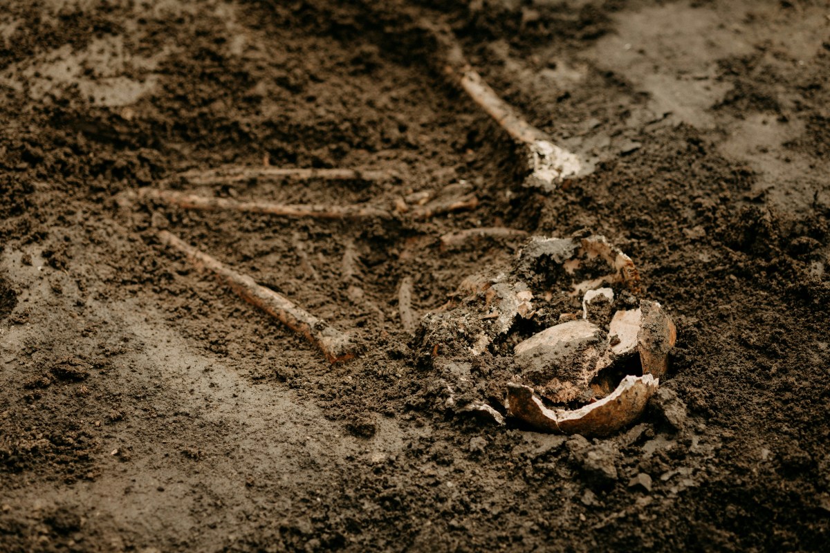 Galgenberg Husum: Archäologische Funde aus Bronzezeit und Mittelalter