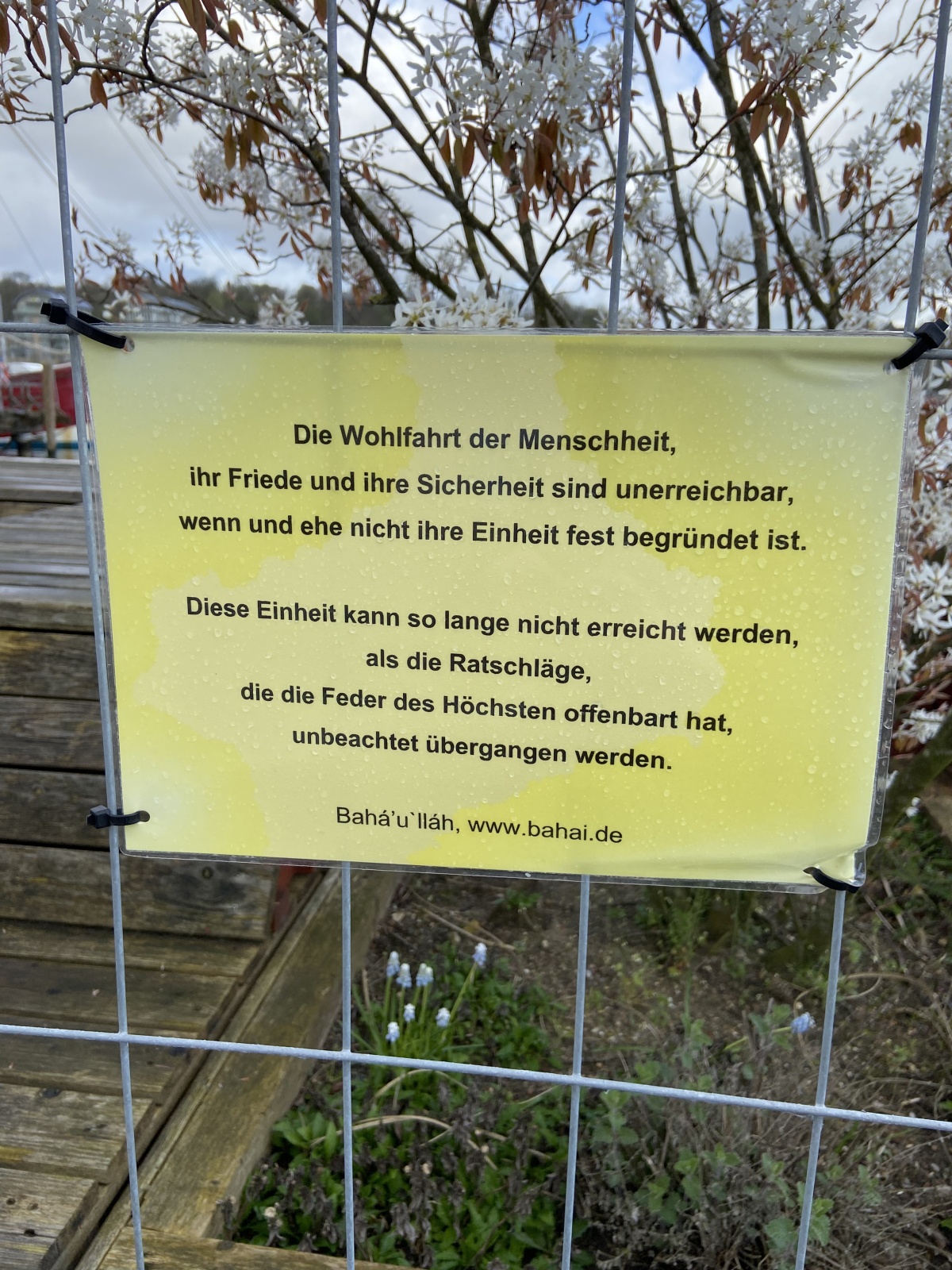 Friedenszeichen am Hafen: Flensburger Aktion für Einheit und Harmonie